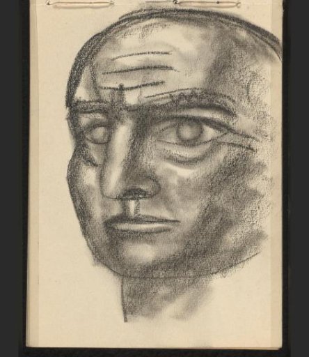 Head seen obliquely from the front