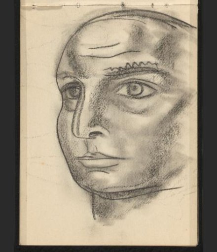 Head seen obliquely from the front