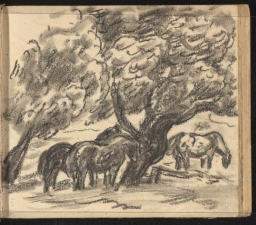 Horses under a tree