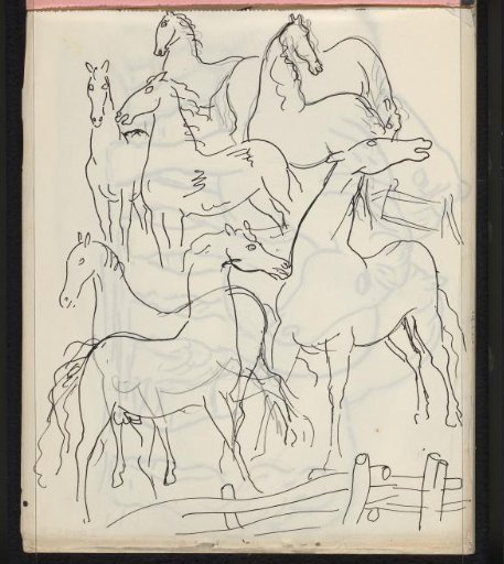 Horses
