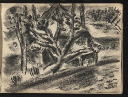 Landscape with trees along a river