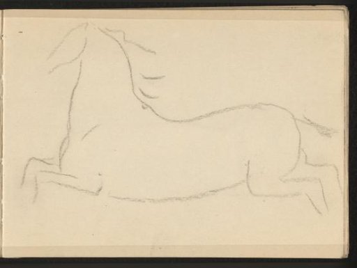Contours of a horse seen from the side