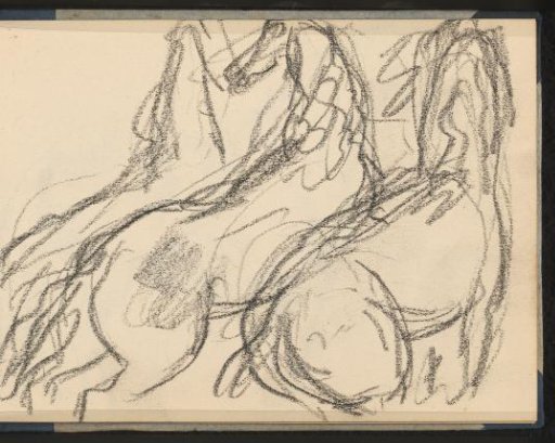 Three horses seen obliquely from behind