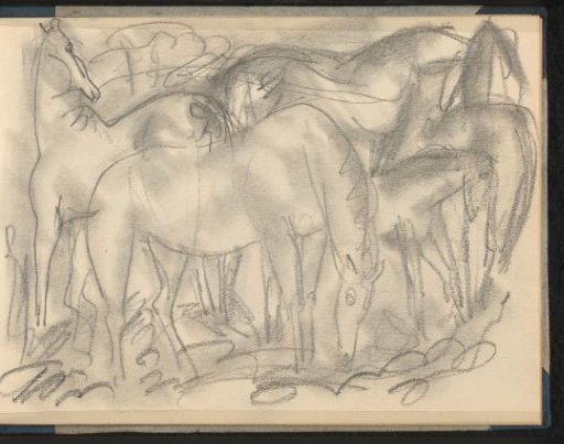 Five horses