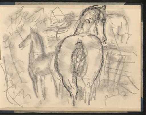 Two horses seen from behind