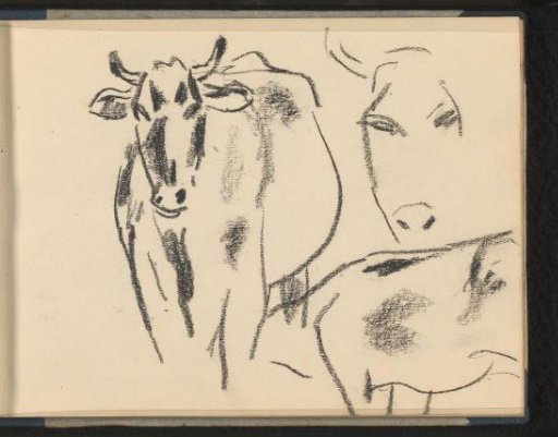 Three fragments of cows