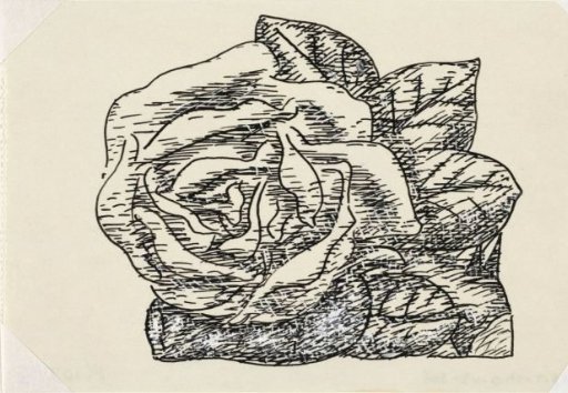 Untitled (rose)