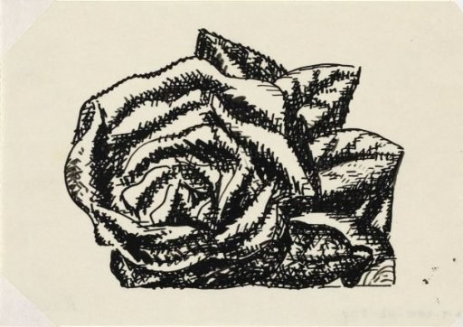 Untitled (rose)