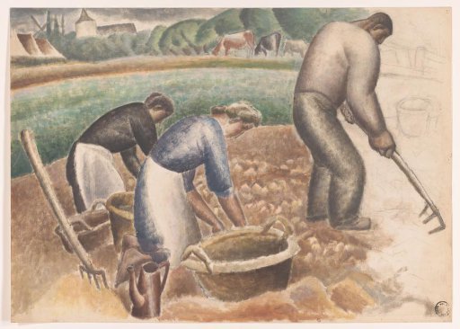 Potato diggers in the field