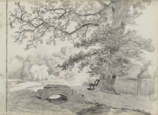 Oak at Malling Abbey