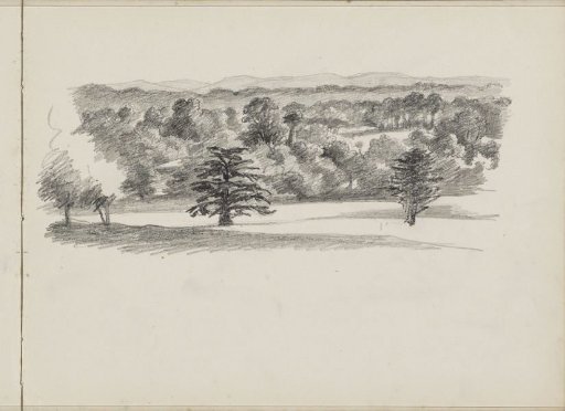 Hill landscape with trees