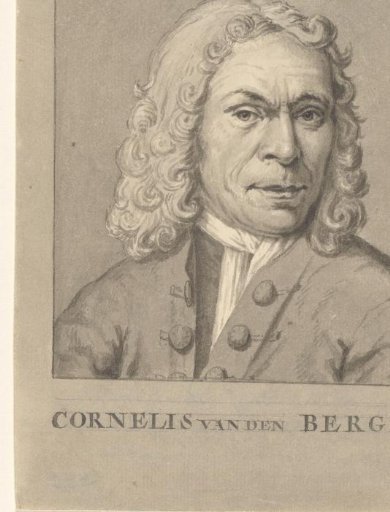 Portrait of Cornelis van den Berg