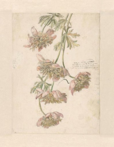 Three branches with flowers