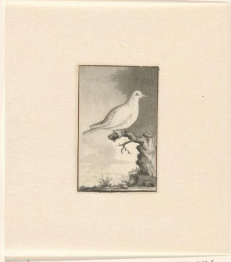 Bird in a landscape