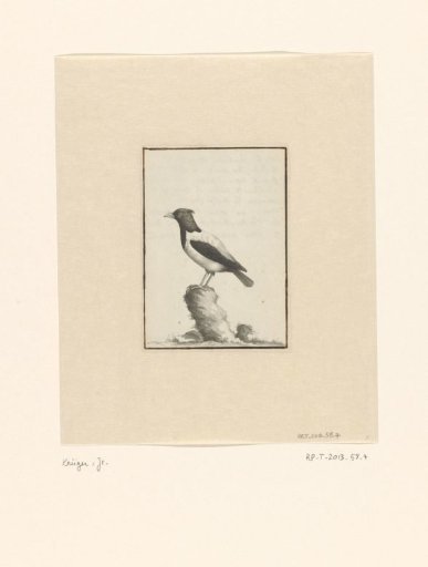 Bird in a landscape