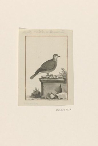 Bird in a landscape