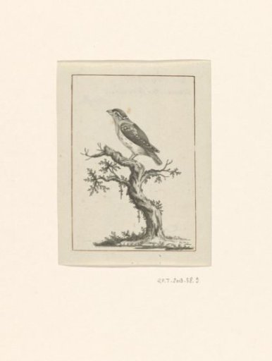Bird in a landscape