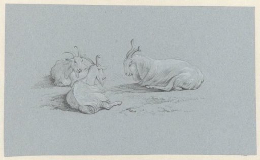 Three lying goats