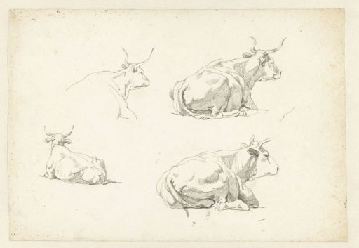 Four studies of lying cows