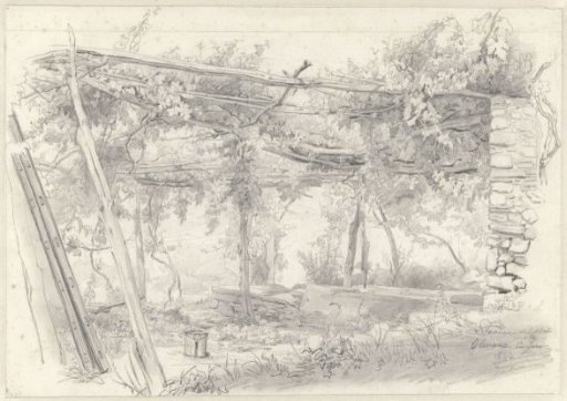 A vineyard in Olevano