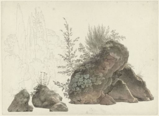 Vegetated rocks