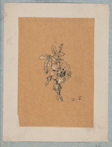 Design for a brooch in the form of a flowering branch
