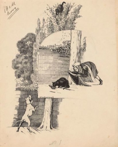 Girl trying to catch a cat
