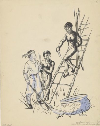New Guinean hunter descending from a woven ladder