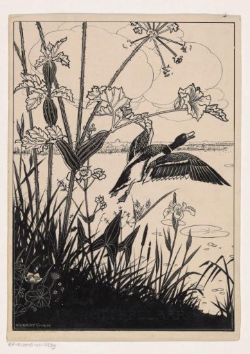 Flying bird by the water's edge