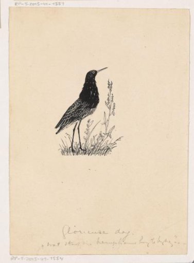 Cock