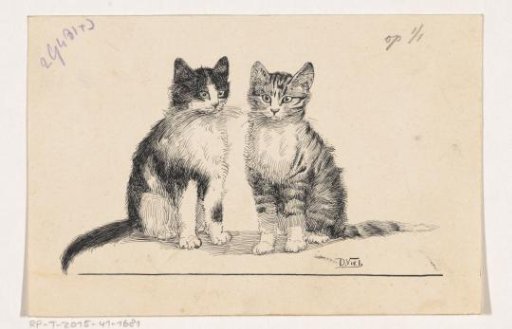 Two cats