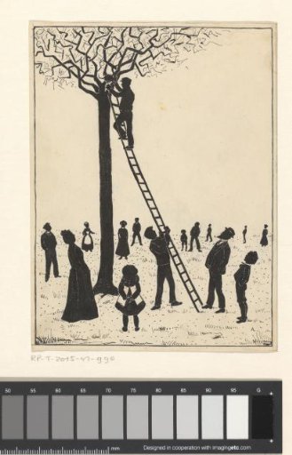 Man rescuing a cat from a tree