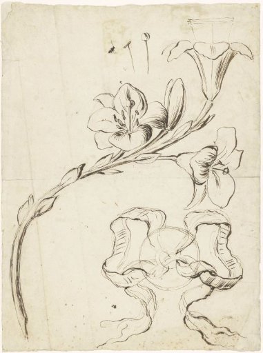Design for the arm of a wall sconce