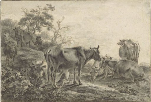 Cattle Herd