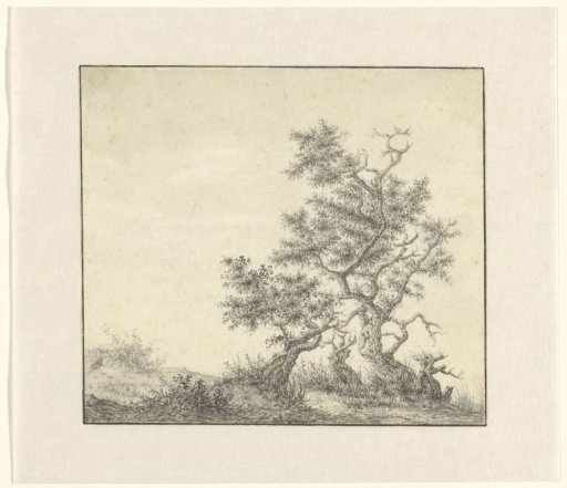Dune Landscape with Gnarled Trees