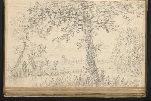 Meadow with cattle and a fishing man
