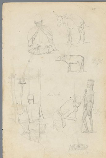 Five studies of Egyptians and animals