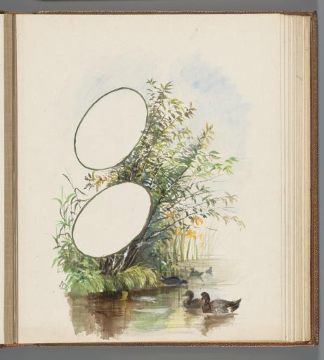 Five ducks in the water along a bank