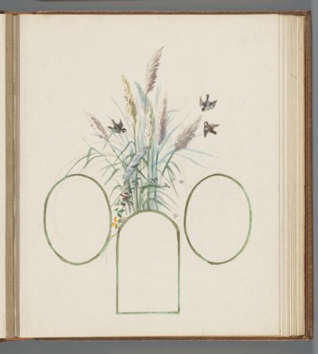 Three birds around reed stems