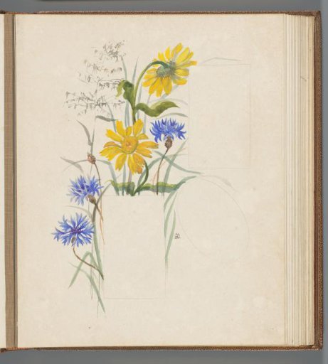 Cornflowers and yellow flowers