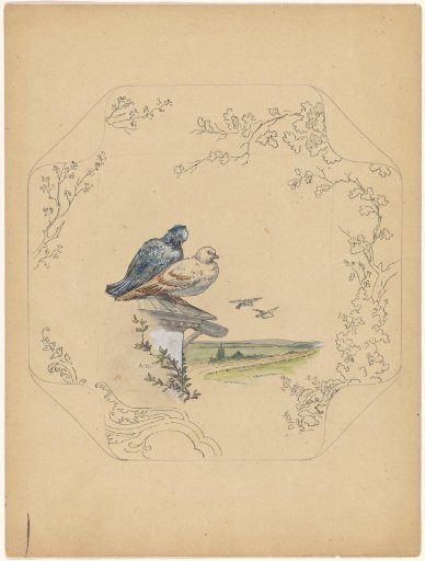 Design for a Plate of the 'Square' Model with Pigeons