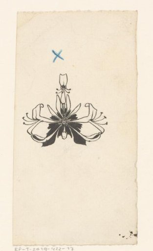 Flower, possibly a lily