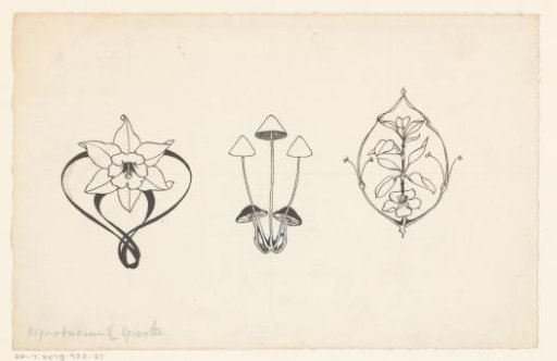 Flowers and mushrooms