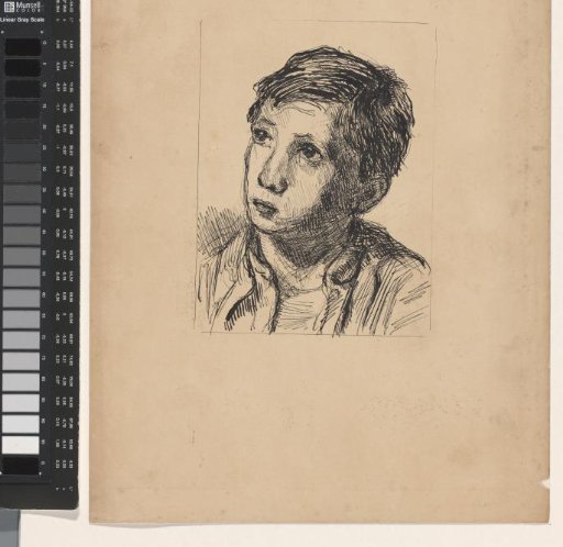 Head of a boy