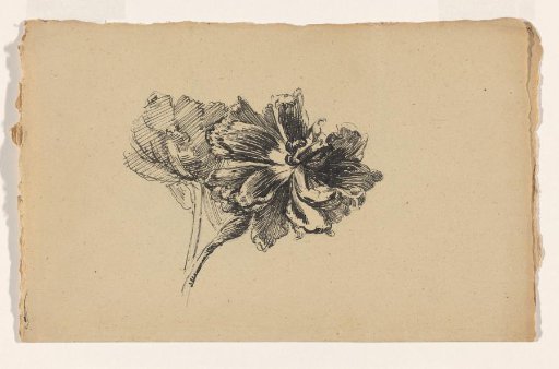 Flowers and a leaf