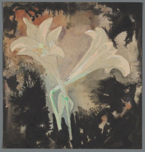Two flowers