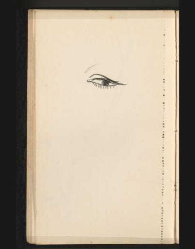 Eye