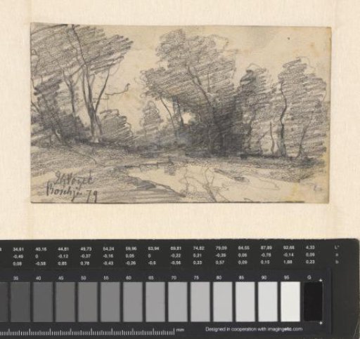 Landscape with trees