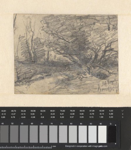 Landscape with trees