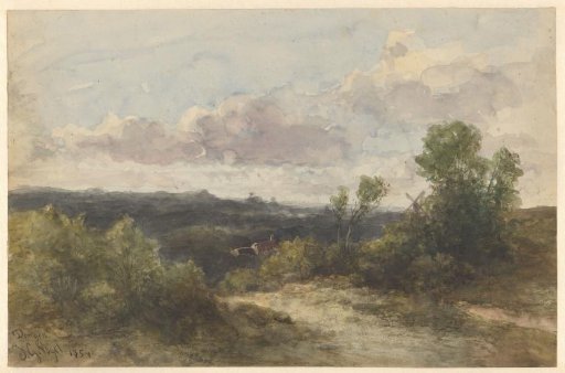 Landscape near Dongen